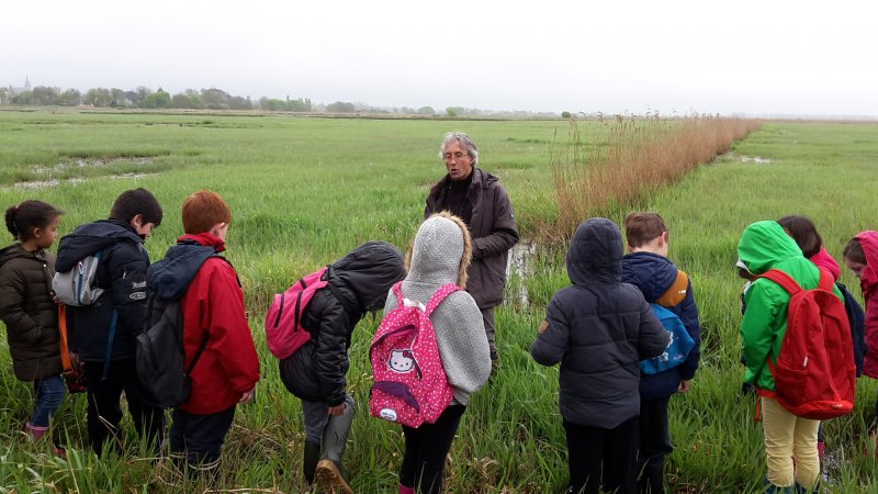 20170404_100308 20170404_100308